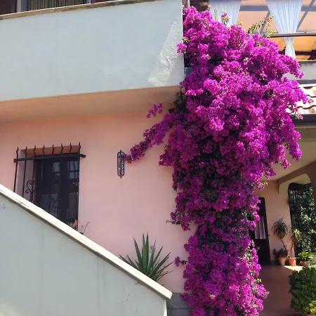 Apartment Chiara